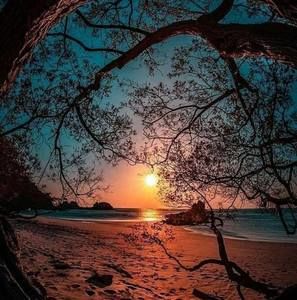 Meet your Posher, Robyn